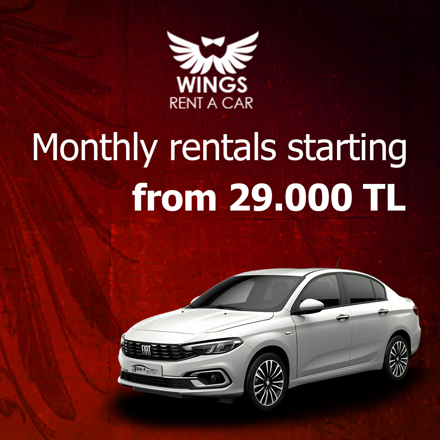 Monthly car rentals start from 29,000 TL.